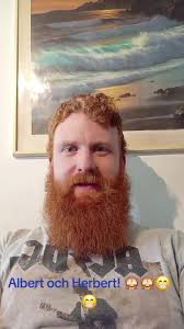 Barnprogram Glögg Albert Och Herbert