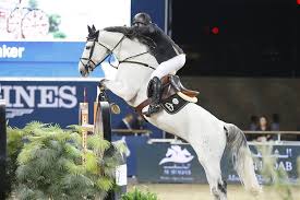 Doha 2014 Gallery Longines Global Champions Tour Beautiful Horses Show Jumping Horse Photography