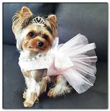 Dog Wedding Dress In 2020 Dog Dresses Dog Tutu Dog Party Dress
