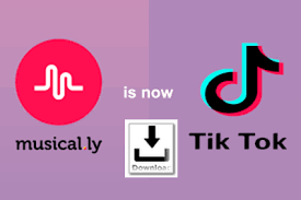 Asegúrese de que el enlace tenga uno de los siguientes formatos: A Simple And Efficient Way Of How To Download Tiktok Videos