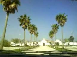 Check spelling or type a new query. Hacienda La Pintada 1km De Palmeras Youtube