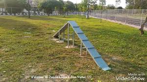 Jalan palma a/7, jalan margosa d/11, seri botani utama, jalan palma a/1. Dog Park At Eco Park 1 Bandar Seri Botani Ipoh Perak Malaysia Youtube