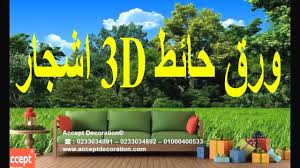 ورق حائط خلفيات اشجار ورق حائط اشجار ورق حائط 3d اشجار Youtube