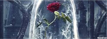 Beauty And The Beast 2017 Facebook Cover Photo Fbcover Com