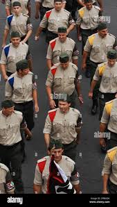 Hungarian nationalists march to support ...