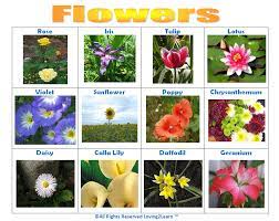 Print Off This Flowers Chart Www Loving2learn Com Flower Chart Flower Names List Of Flowers