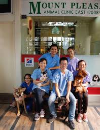 The family pet clinic is a full service facility, offering wellness care, specialized plans for puppies and kittens, senior pet care, a wide variety of surgery, pet dentistry, internal medicine, digital radiography, dermatology, behavior counseling, specialized toxicology treatment, a full pharmacy, medical grooming, microchip placement, and daytime emergency medicine. Thank You Andy Guan Wei Pet Clinic We Are Family Vets