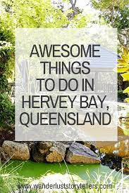 Hervey bay is one of the best and most exclusive destinations for whale watching that won't disappoint. 11 Top Things To Do In Hervey Bay Qld Australia