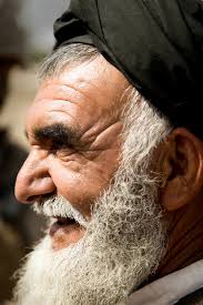 The Wolves of Helmand