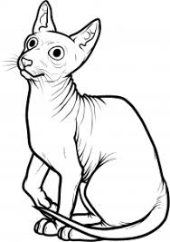 Maybe you would like to learn more about one of these? How To Draw A Sphynx Cat Step 8 Sphynx Cat Cat Drawing Hairless Cat