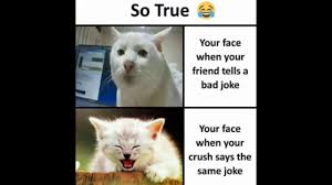 Offensive jokes are fine as long as they are still jokes, we do make exceptions for extremely offensive jokes. Funny Memes Which Will Make You Laugh So Hard Youtube