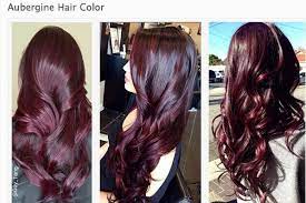 2015 Hair Colour Trend Guide According Complexion Tipit Wine Hair Wine Hair Color Aubergine Hair Color