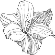 Pin On Embroidery Patterns Flowers