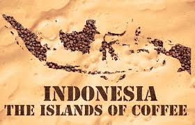 Look below for recipes, blogs, brew videos, and more. Indonesian Coffee Origin And Story