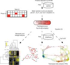 Get notified when boulevard © #1 ✔ is updated. Topological Scoring Of Protein Interaction Networks Nature Communications
