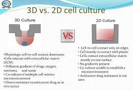 Cell culture plays an important role in a wide range of biological research, from modelling diseases, to am: 3d Culture Market And Innovcell 3d Hcs Pharma