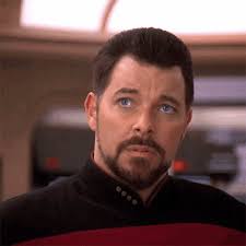 Serious Face William Riker GIF