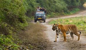 Jim Corbett Taxi