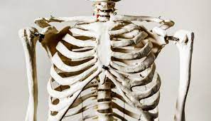 The liver is located at the lower end of the rib cage on the right and the spleen is on the left. What Organ Is Behind Your Right Lower Rib And Cup Hood Martha Mwaipaja Tulikotoka Ni Mbali Download Mimi Ni Mpitaji Martha Mwaipaja Youtube Ambwene Mwasongwe Tulikotoka Official Video Steal Black What Organ Can Be Felt In The Right Upper