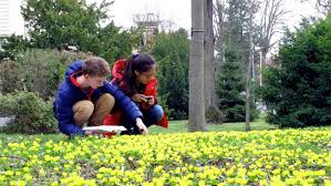 Manche müssen allerdings draußen bleiben, denn ihre raupen sind allzu gefräßig. Citizen Science Die Natur Selbst Erforschen Bluhendes Osterreich