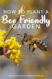 We did not find results for: How To Plant A Bee Friendly Garden In 2020 Bee Friendly Garden Bee Friendly Bee Friendly Plants