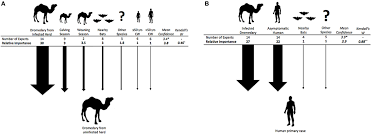 Humans have used camels as a means of transport for thousands of years. Frontiers Mers Cov At The Animal Human Interface Inputs On Exposure Pathways From An Expert Opinion Elicitation Veterinary Science