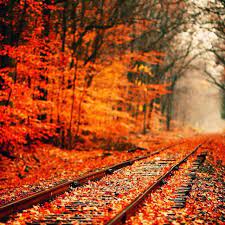 Orange Aesthetic Fall Wallpaper Tumblr Desktop Background Nature Fall Desktop Backgrounds
