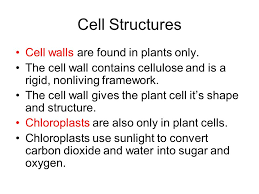 Check spelling or type a new query. Cells And Heredity Cells And Organelles Ppt Download