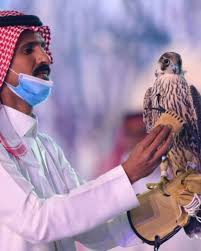 من سلالة الشاهين بيع أغلى صقر في العالم مقابل مبلغ ضخم النهار