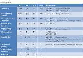 Image result for Liver Function Test