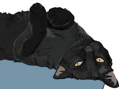 7 Ways Your Cat Communicates Without Speaking Cats Illustration Purebred Cats Cat Behavior