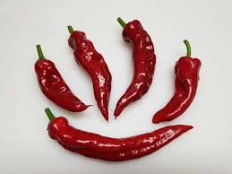 Compare all airlines for santiago chile san juan flights to find best prices. San Juan Tsile Pueblo Chile 10 Seeds Super Hot Chiles