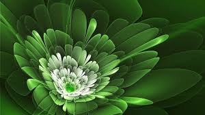 You may order flowers directly from our web site, or by calling our home office. Best Florist In Colombo Flower Delivery Sri Lanka
