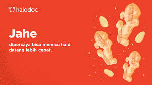 Tips cara mengetahui / menghitung masa subur wanita setelah haid, bisa dengan suhu, cek lendir, kalkulator kesuburan, dan juga dengan beberapa cara berikut. Adakah Cara Paling Tepat Untuk Mempercepat Haid