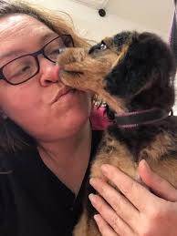 Met the gorgeous baby Tigs today! In for his first groom. Introducing  puppy's early for their first visit is so important. Bath, dry and brush  with nails trimmed along with a feet