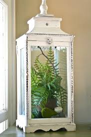 How To Set Up Your Garden In Your Home Or Apartment Plant Decor Indoor Spring Decor Lanterns Decor