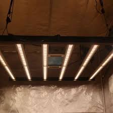 We did not find results for: 300w 600w 800w Waterproof White Led Grow Light Spectrum Led Bar Indoor Garden Amazon China Led Grow Light Grow Light Made In China Com