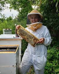 Birthday, love and romance, sympathy, get well, congratulations Beekeeping Club Shares The Sweet Side Of Bees