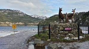 The staff are extremely friendly and helpful. San Martin De Los Andes La Islita Wanderung Outdooractive Com