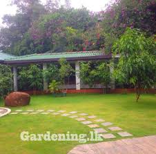 Lanka Gardening And Landscaping Landscape Company Colombo Sri Lanka 1 562 Photos Facebook
