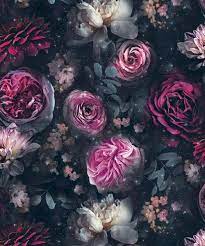 The most beautiful pink flower wallpaper | hd wallpapers. Purple Pink Black Floral Glitter Wallpaper Flowers Stars Dark Magic From Yol Amazon Co Uk Diy Tools