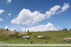 Motiunea simpla impotriva rovanei plumb a picat: Fonduri Europene De 15 000 2 500 000 Euro Pentru Antreprenori Fermieri Si Grupuri De Producatori Cepu