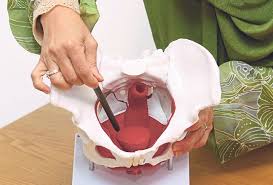 Siapa lagi mahukan tubuh badan yang sihat dan anggun selepas bersalin, tanpa perlu minum ubat periuk serta jamu yang pahit? setiap wanita yang baru bersalin mengimpikan badan yang lansing seperti sewaktu sebelum mereka bersalin. Masalah Wanita