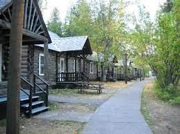 Check spelling or type a new query. Lakeview Cabins Picture Of Lake Mcdonald Lodge Glacier National Park Tripadvisor