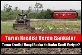 Tarim Kredisi Hangi Banka Ne Kadar Kredi Veriyor Tarim Finans Yatirim
