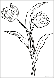 You can print or color them online at getdrawings.com for absolutely free. Two Tulips Coloring Pages Flower Coloring Pages Coloring Pages For Kids And Adults