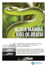 The black mamba are a portuguese band. Black Mamba Kiss Of Death 2013 Imdb