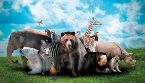 動(どう)物(ぶつ)園(えん) • (dōbutsuen) (historical kana どうぶつゑん). å‹•ç‰©åœ'æ‡‰è©²å­˜åœ¨å—Ž åº·å¥é›œèªŒ