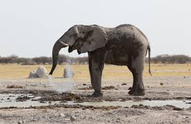 Destinations Self Drive Botswana And Namibia3