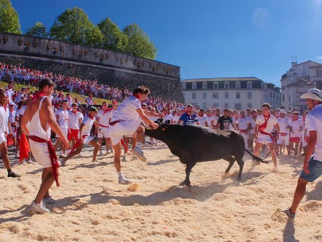 F&ecirc;tes de Bayonne 2022 : les vaches entour&eacute;es par une foule record de festayres